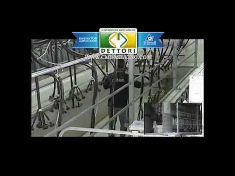 Fondi da impotenza maschile Pene tecnica allargamento Alexei Elizarov.