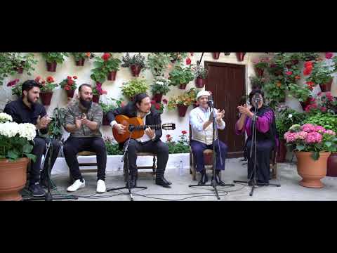 El Pele y Remedios Amaya - Bulería