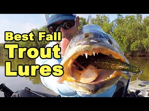 Top 3 Fishing Lures For Big Fall Trout