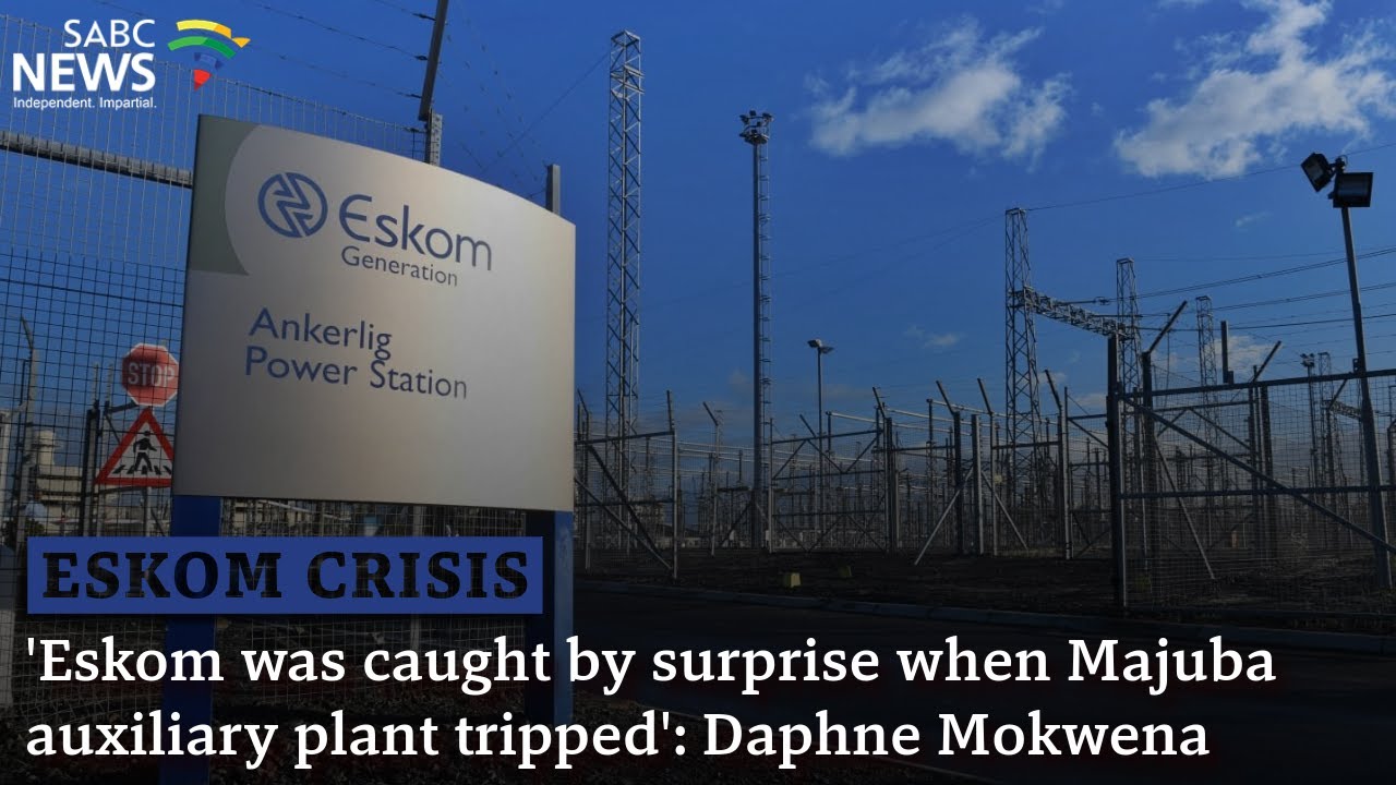 Energy Crisis | 'Eskom was caught by surprise when Majuba auxiliary plant tripped': Daphne Mokwena