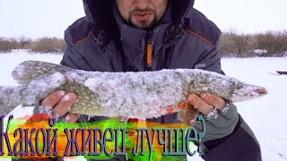 Ишимский рыболовный клуб в контакте