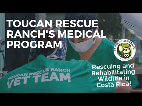 WildMed Fund