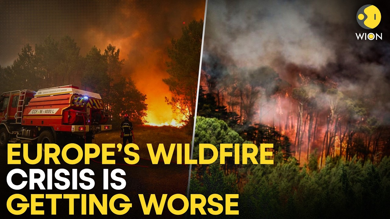 Europe Wildfires LIVE: Heatwave & Drought Fuel Massive Fires Across France, Spain, Germany & Croatia