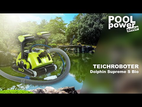 download lagu mp3 mp4 Dolphin Bio, download mp3 Dolphin Bio free download, download mp3 Dolphin Bio