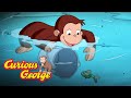 Curious George 🐵 George's Favorite Summer Lake 🐵 Kids Cartoon 🐵  Kids Movies 🐵 Videos for Kids