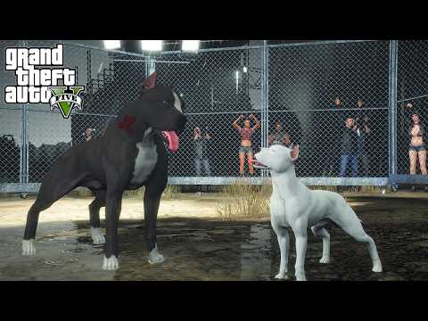 TERMİNATÖR KÜÇÜK BEYAZ'LA ARENA DÖVÜŞÜ YAPIYOR! - GTA 5