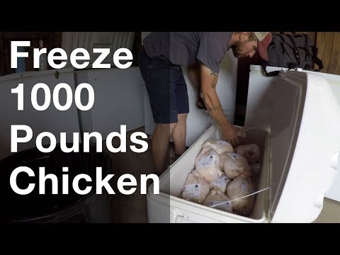download lagu mp3 mp4 Freezing Point Of Chicken Meat, download lagu Freezing Point Of Chicken Meat gratis, unduh video klip Freezing Point Of Chicken Meat