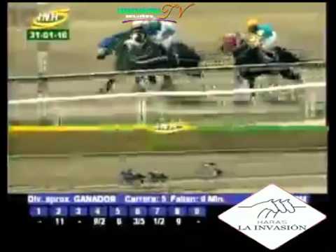 LA RINCONADA 5 CARRERA, DOMINGO 31 DE ENERO DEL 2016