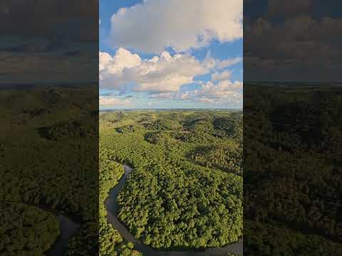 Rio Formoso Pernambuco terra dos manguezais @nino_drone