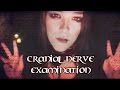 ***ASMR*** Toreador Vampire Cranial Nerve ...