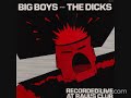 Fake Bands by the Dicks