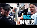 DRIVE IN ESKALATION Vogel Im Auto Monte Isst Wieder Fleisch Sascha Nach BER MontanaBlack IRL