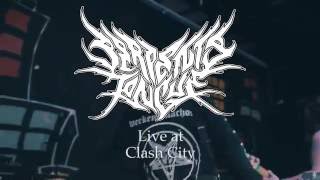 Serpents Tongue - FULL SET {HD} 06/09/16 (Live @ Clash City)