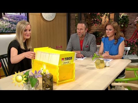 Hittade pengar på marken - köpte trisslott - Nyhetsmorgon (TV4)