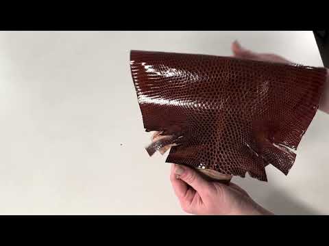 REAL IGUANA SKIN 5848