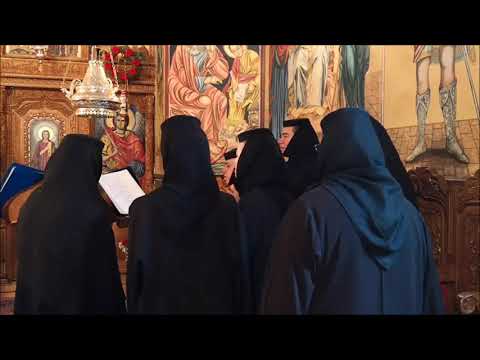 20190407 DUMINICA 4 DIN POST – A CUVIOSULUI IOAN SCARARUL – VINDECAREA FIULUI LUNATIC – PREDICA DE P