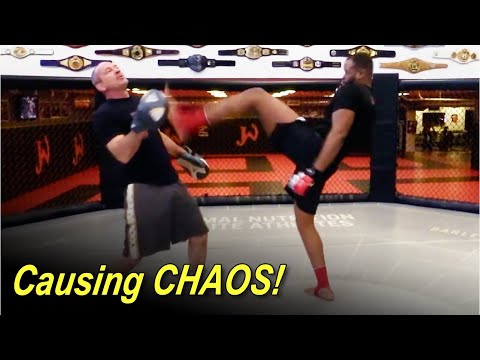 Causing Chaos by Mike Winkeljohn