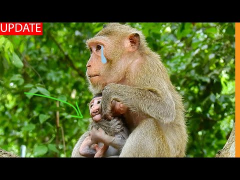 Cutting Finger... Mira So Hurt Painful from Her Little Misty Biting