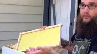 Area beekeepers at work