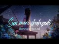 Sun Meri Shehzadi Slowed Down Reverb Saaton Janam Mein Tere Night Song