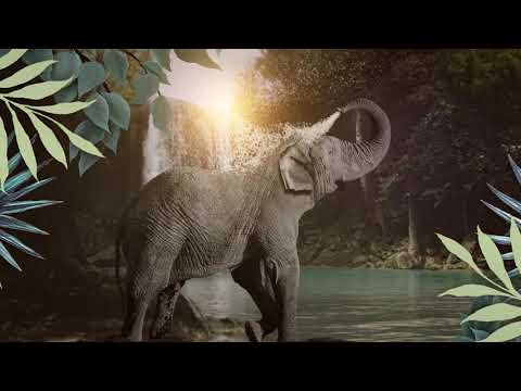 Vacheron Constantin Mécaniques Sauvages: Wild Animal Time