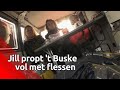 Jill zamelt flessen in voor de dieren in Australië | Brabants Buske