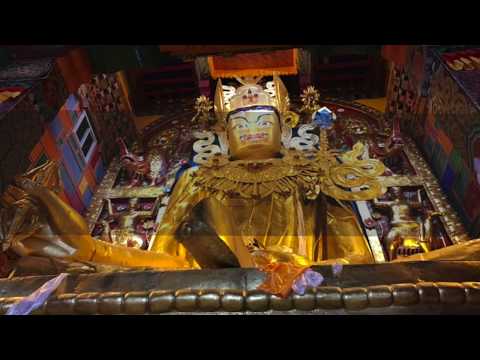 Tibetan Healing Chants | Offering Chant | Cover by Drukmo Gyal