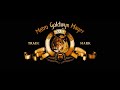 Metro Goldwyn Mayer Columbia Pictures 2012