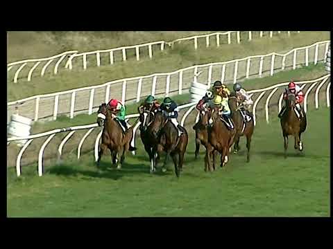 Napoli Galoppo 23/01/2022 - 3ª corsa