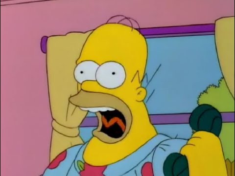 The Simpsons S07E07 - Der behinderte Homer - Die Finger ... sind zu fett! [Deutsch/German]