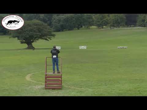 D M Howells & Rock 338887 - Welsh National Sheepdog Trials 2018
