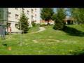 Rabiater Feldhase