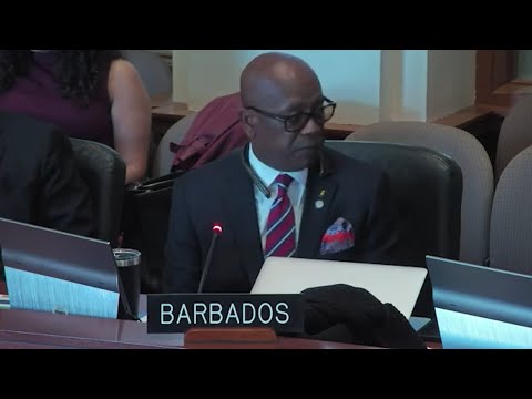 Barbados stands with Guyana