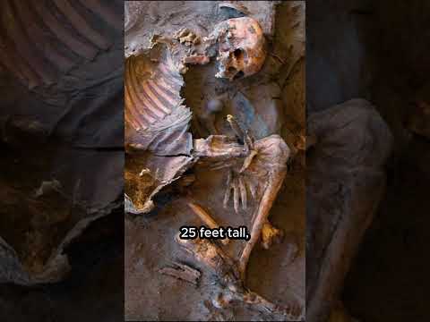 The Giant Bones Found in France