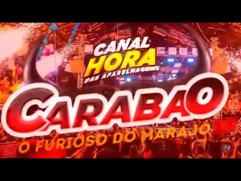 CARABAO O FURIOSO DO MARAJÓ 2023 SET AO VIVO NO MOJU DJ TOM MÁXIMO ROCK DOIDO