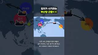 부산항 야호~!｜크랩