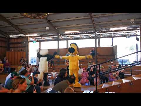 Shaun the sheep stage show!