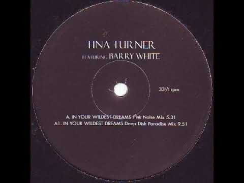 Tina Turner feat Barry White - In Your Wildest Dreams (Deep Dish Paradise Mix)