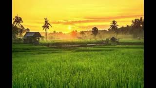 Download lagu Doel sumbang-sapu jaga mp3