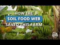 Soil Food Web School Case Study Organic Banana Farm Saved