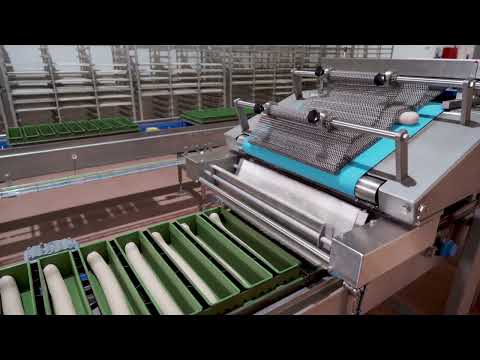 Diatosta Production Lines