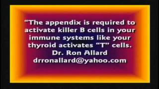 Amanda Jenssen - When we dig for gold in the USA (När vi gräver guld i USA) - Så mycket bättre (TV,
