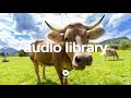 Sunday Drive Silent Partner No Copyright Music YouTube Free Audio Library
