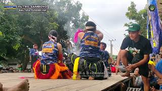 Download lagu hmpir mberot !aksi Prabu Singo kumbang vs Bantengan Jaranan Putro Samboyo Live bulu Turus Purwoasri. mp3