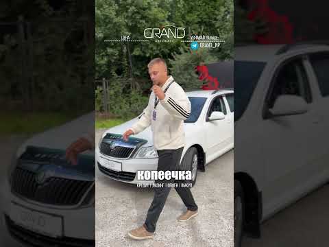 фото skoda octavia ii (a5) рестайлинг 0