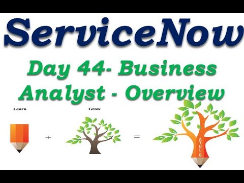 Batch2 :: Day 44 || Business Analyst Overview || ServiceNow Functional Training || Quebec