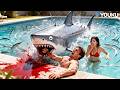 Lovers Pool Romance Bitten By Piranhas Sharp Teeth YOUKU MONSTER MOVIE