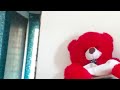 Priya Vlogs Is Live
