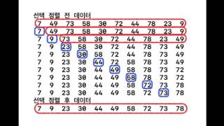 고급 C 강의 25 : 선택정렬(널널한 교수의 고급 C언어) ft. C 코딩
