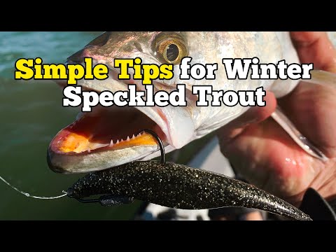 Simplest Way To Find Speckled Trout In The Winter